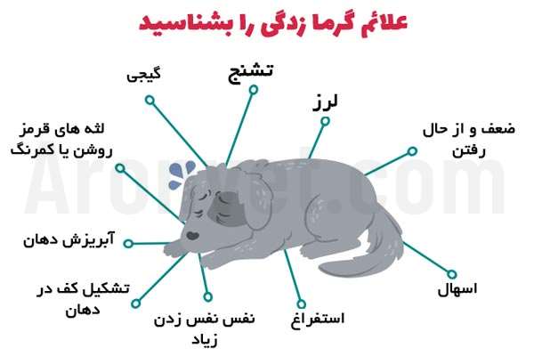 علائم گرمازدگی در سگ ها