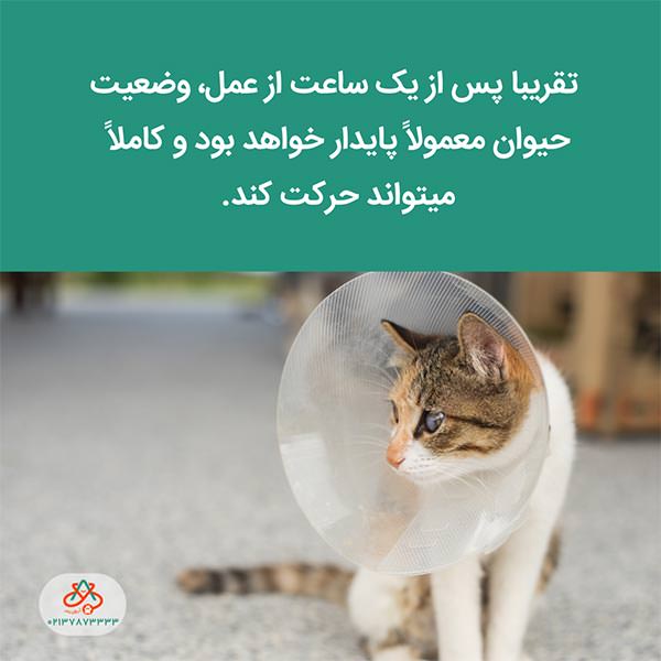 بعد از عمل
