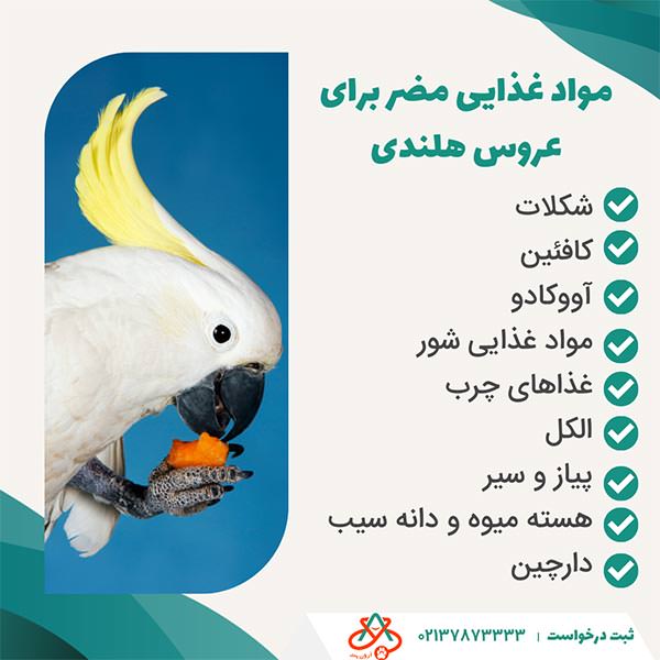 مواد عذایی مضر برای عروس هلندی