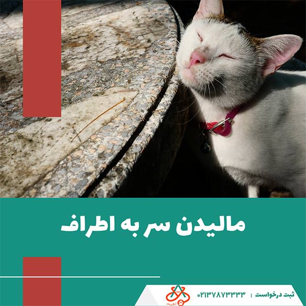 مالیدن سر به اطراف
