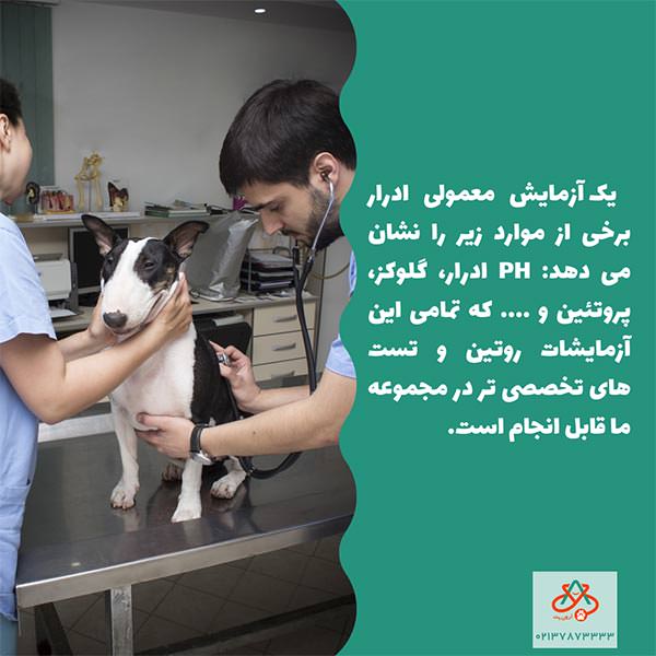 آزمایشات پت در آرون