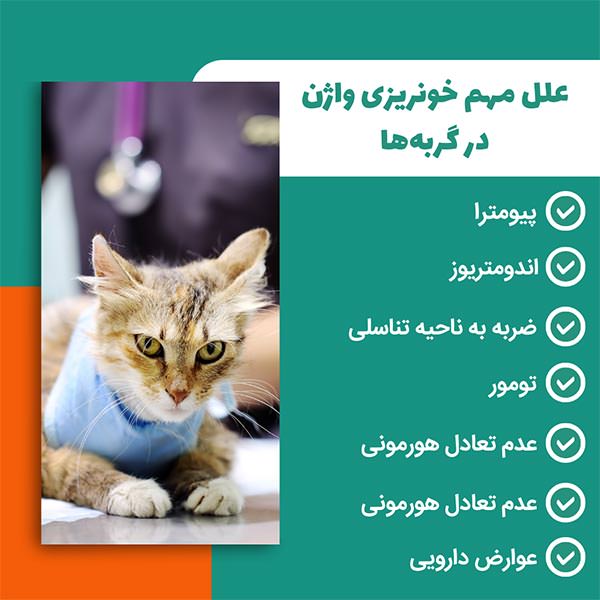 علل مهم خونریزی واژن در گربهها