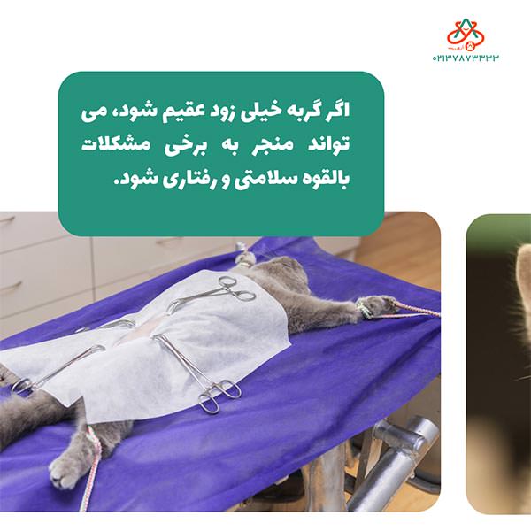 دیر عمل کردن