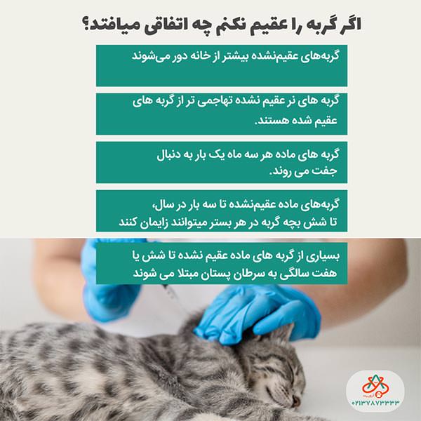 اگر عقیم نشن چه اتفاقی می افته؟پ