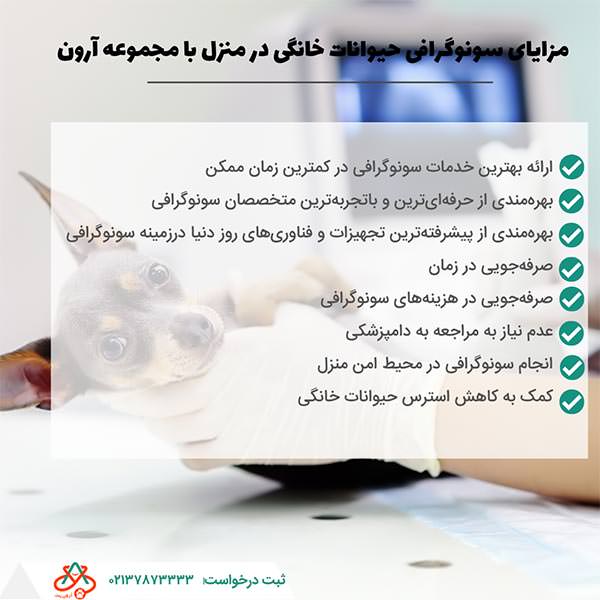 مزایای سونوگرافی حیوانات خانگی در منزل با مجموعه آرون