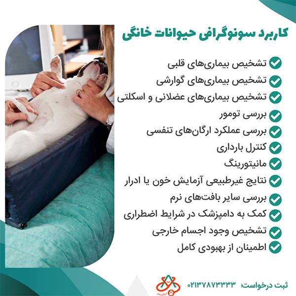 کاربرد سونوگرافی حیوانات خانگی