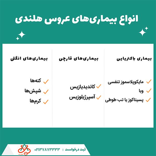 انواع بیماری‌های عروس هلندی و درمان آن‌ها