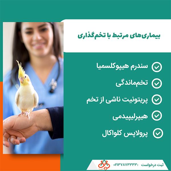 بیماریهای مرتبط با تخمگذاری
