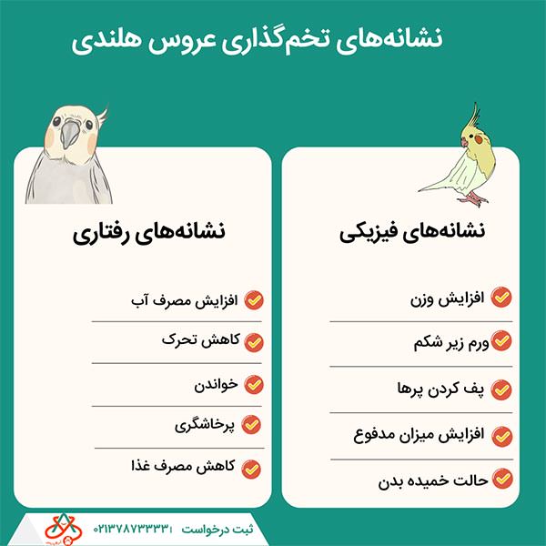 نشانههای تخمگذاری عروس هلندی